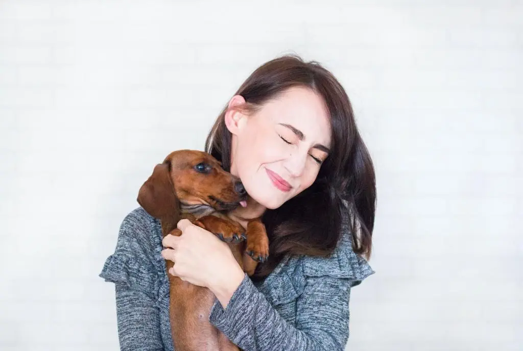 woman in grey top hugging brown dachshund